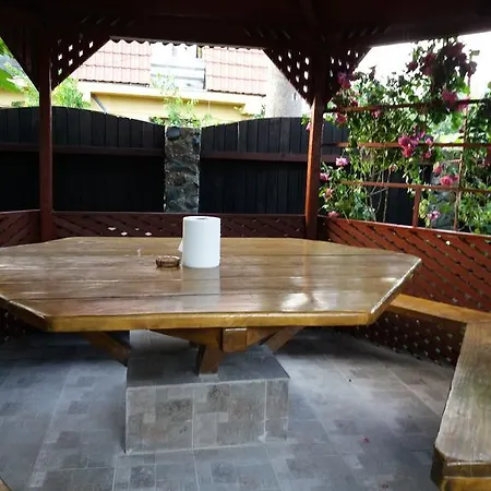 Penzion Casa Cu Foisor 3*