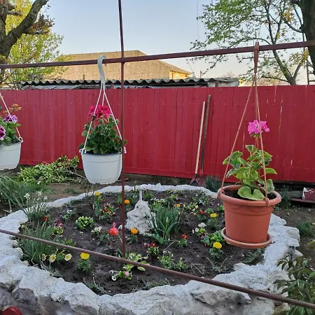 Penzion Casa Cu Foisor 3*