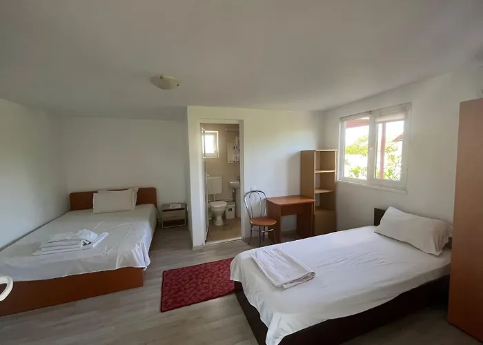 Casa Cu Foisor Penzion