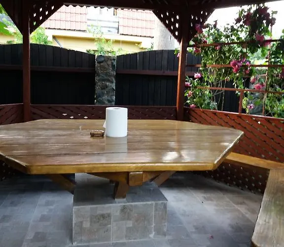 Penzion Casa Cu Foisor 3*