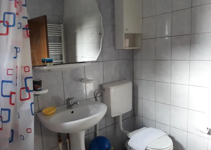 Casa Cu Foisor Penzion