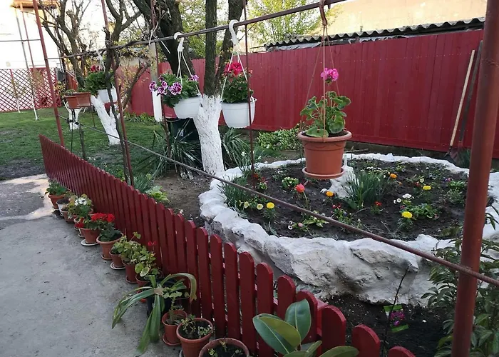 Casa Cu Foisor Penzion