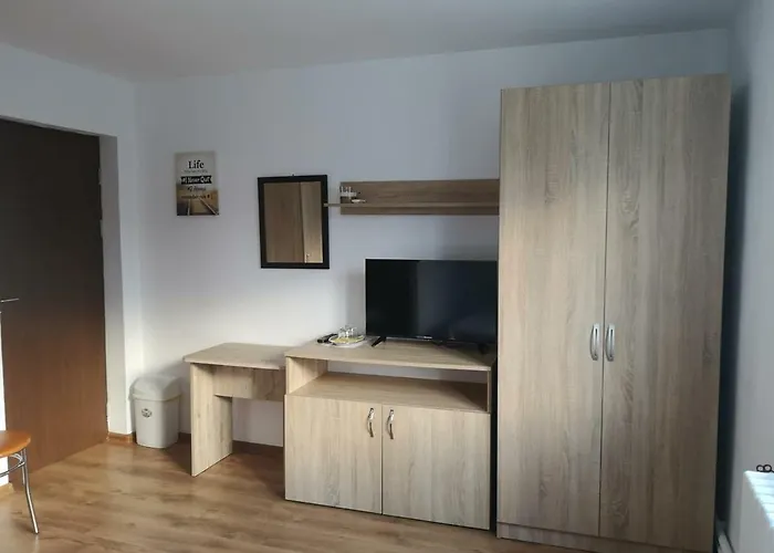 Penzion Casa Cu Foisor 3*