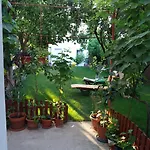 Casa Cu Foisor Guest house Eforie Nord