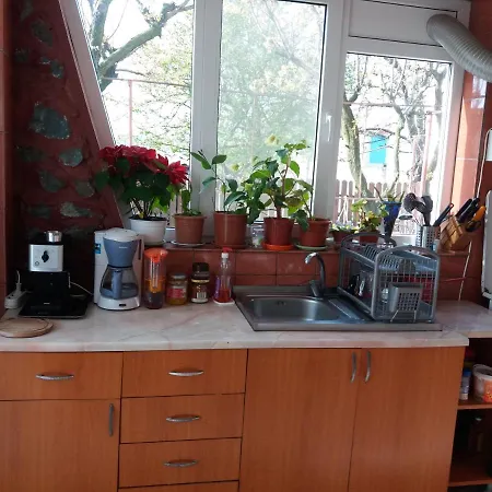 Pensjonat Casa Cu Foisor 3*