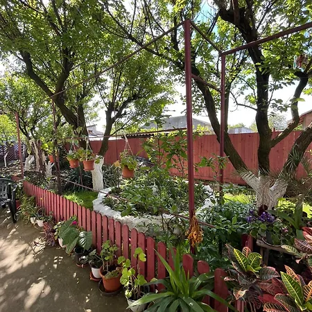 Guest house Casa Cu Foisor