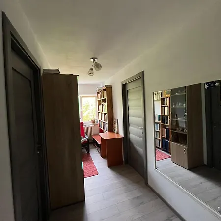 Casa Cu Foisor 招待所 艾福雷诺德