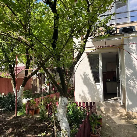 Casa Cu Foisor Guest house
