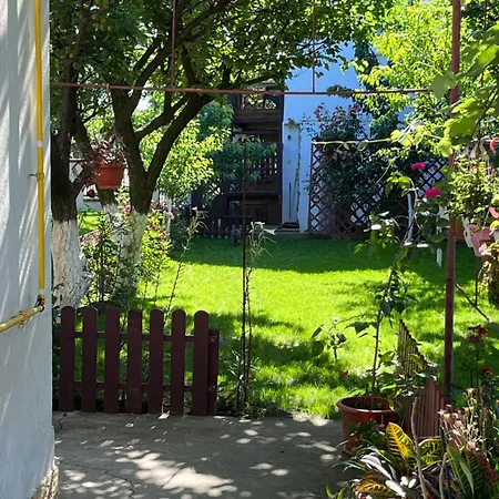 Guest house Casa Cu Foisor 3*