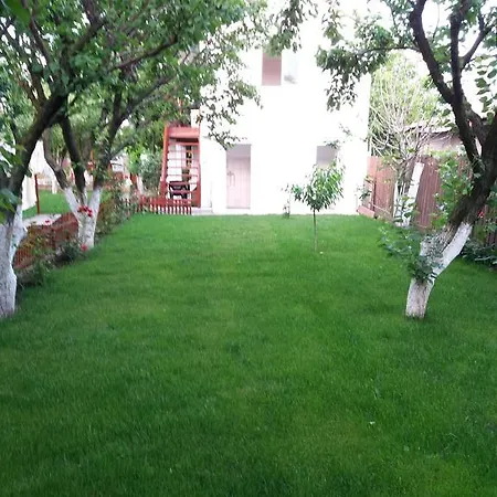 招待所 Casa Cu Foisor 艾福雷诺德