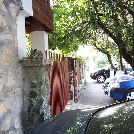 Casa Cu Foisor