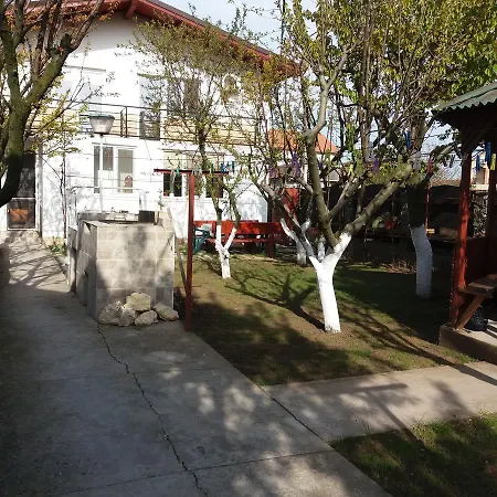 Casa Cu Foisor Pensjonat 3*