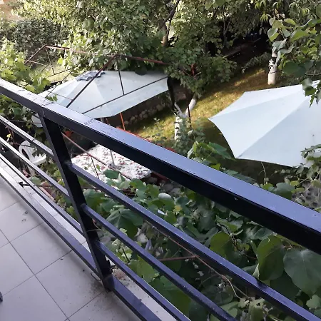 Casa Cu Foisor Guest house