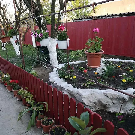 Casa Cu Foisor Guest house